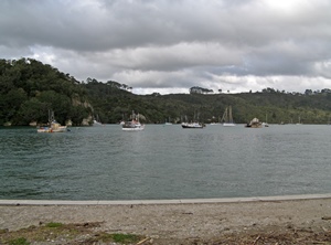 Moored Boats, Whitianga Harbour