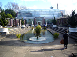 Courtyard and Tropical House