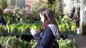 Connie in Temperate House