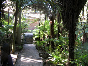 Fernz Fernery