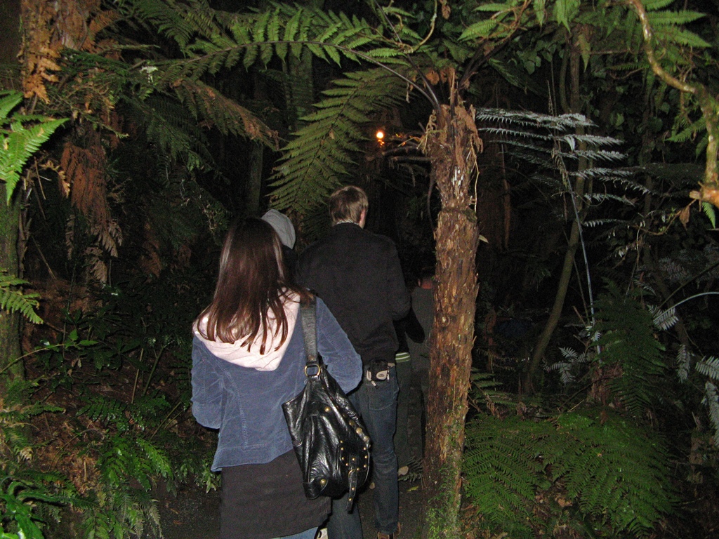 Walking to the Canoe Area