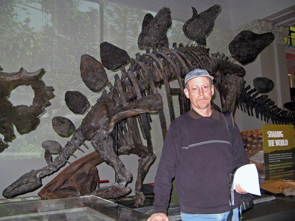 Bob and Stegosaurus