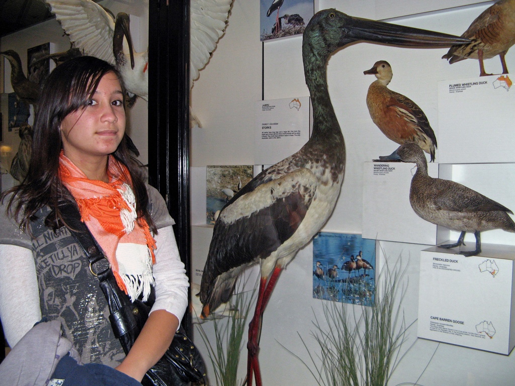 Connie with Stork and Ducks