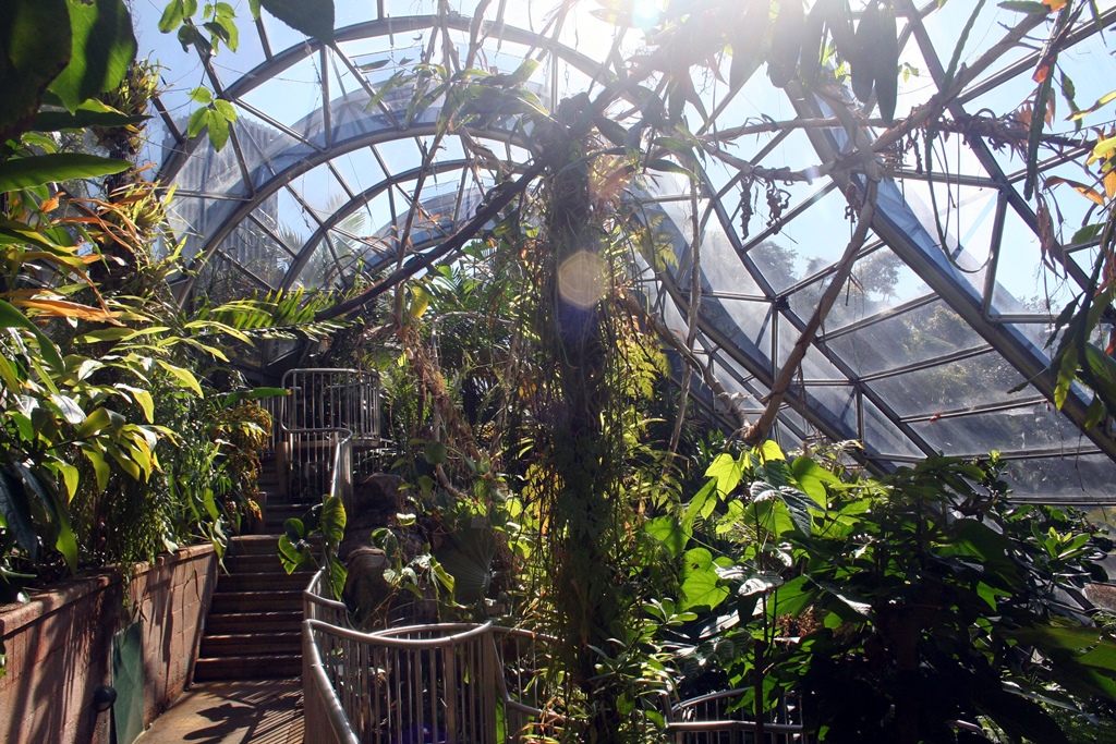 Greenhouse Interior