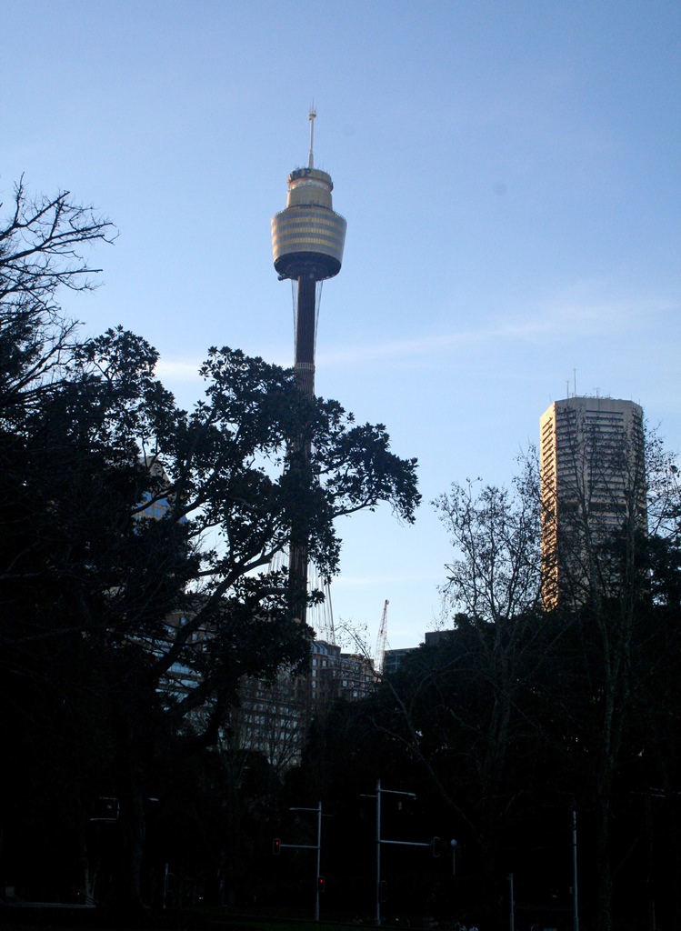 Sydney Tower