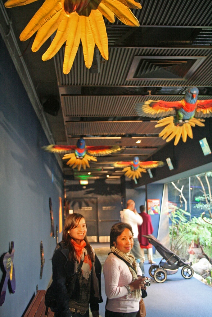 Connie and Nella with Fake Lorikeets