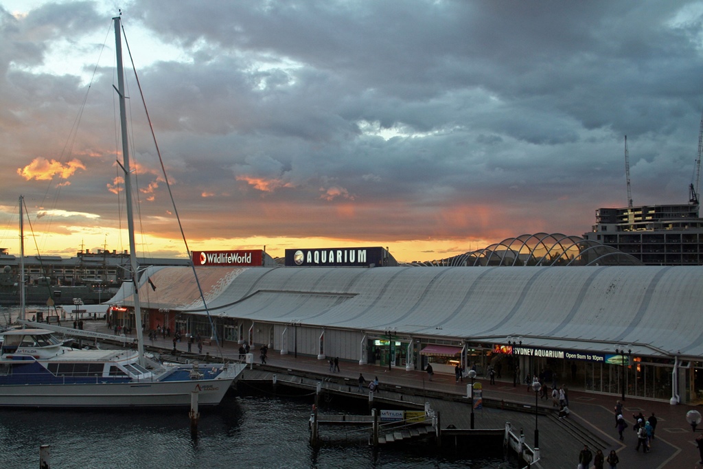 Wildlife World and Sydney Aquarium