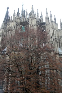 Tree and Cathedral