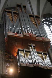 Nave Organ