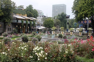 Fountains and Landscaping