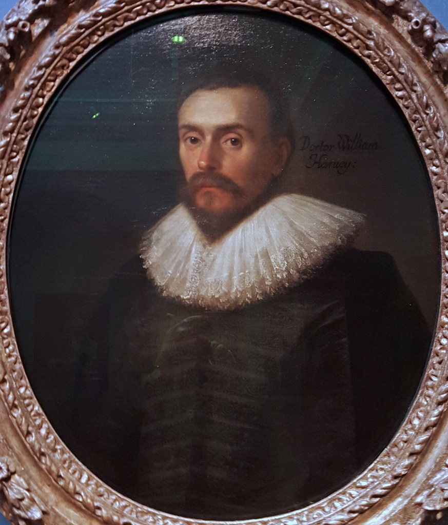 William Harvey (ca. 1627)