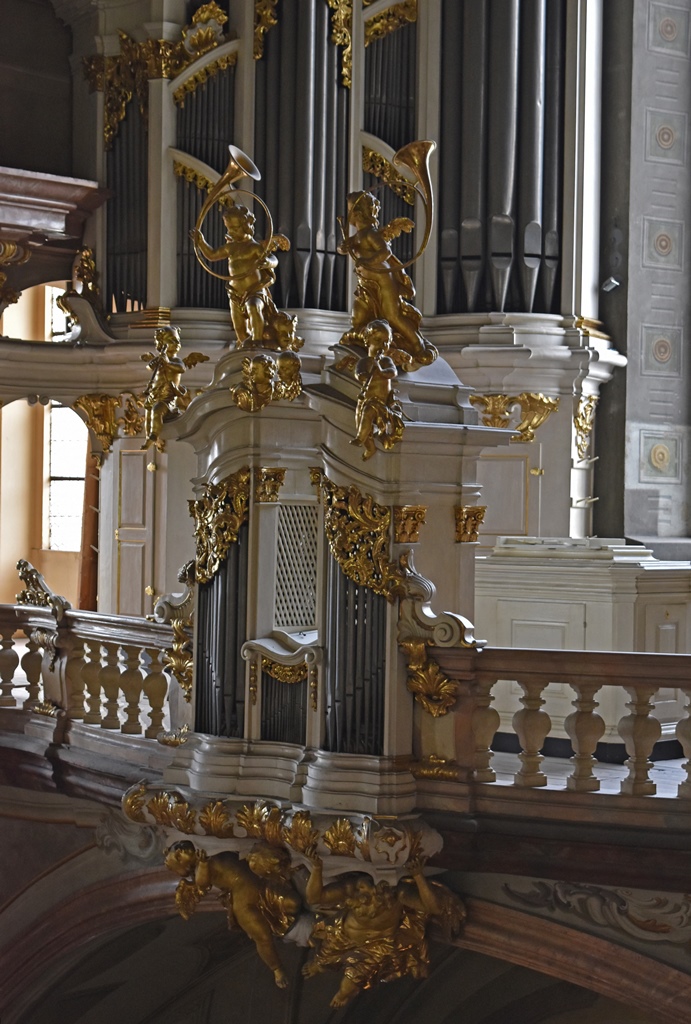 Organ